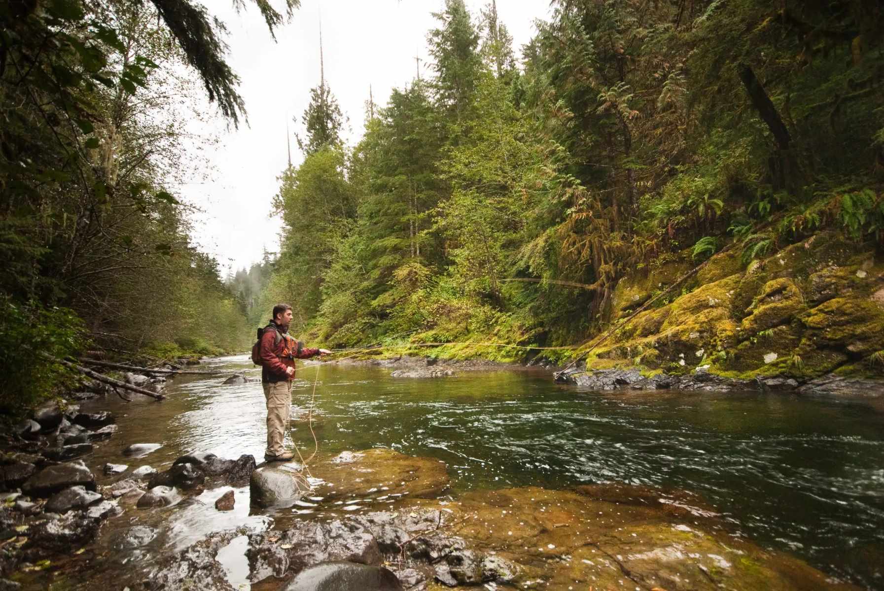 hidden fly fishing waters of montana 1727093040